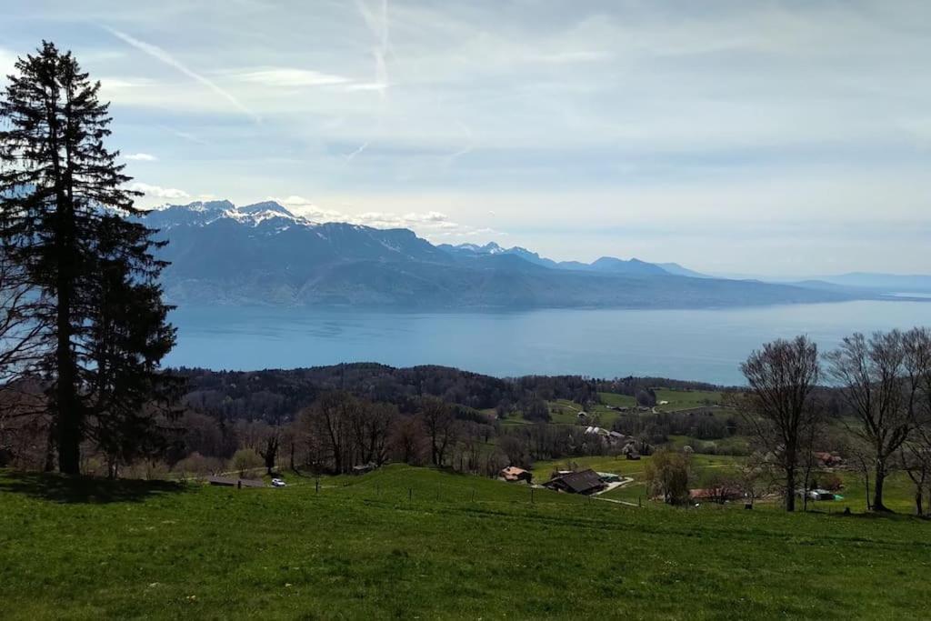 Appartement T2 Ideal Pour Une Famille Thollon-les-Memises 外观 照片