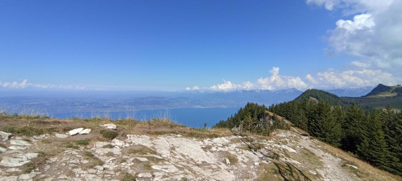 Appartement T2 Ideal Pour Une Famille Thollon-les-Memises 外观 照片